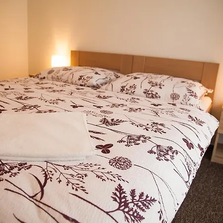 Guest house Penzion For You *