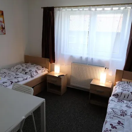 Guest house Penzion For You *