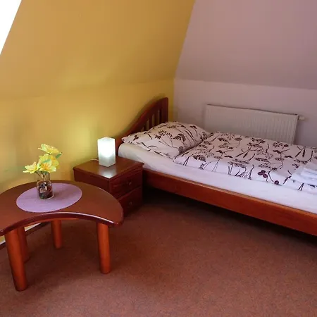 Guest house Penzion For You *